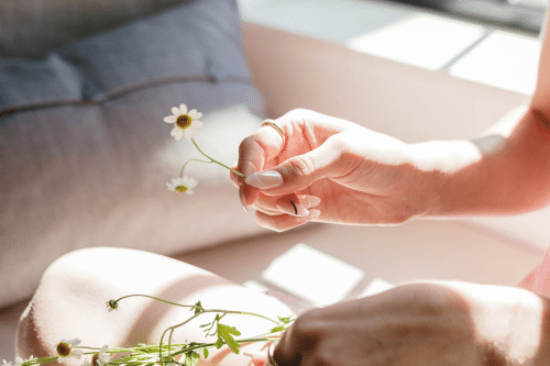 hand in the sunlight holding a small white flower
