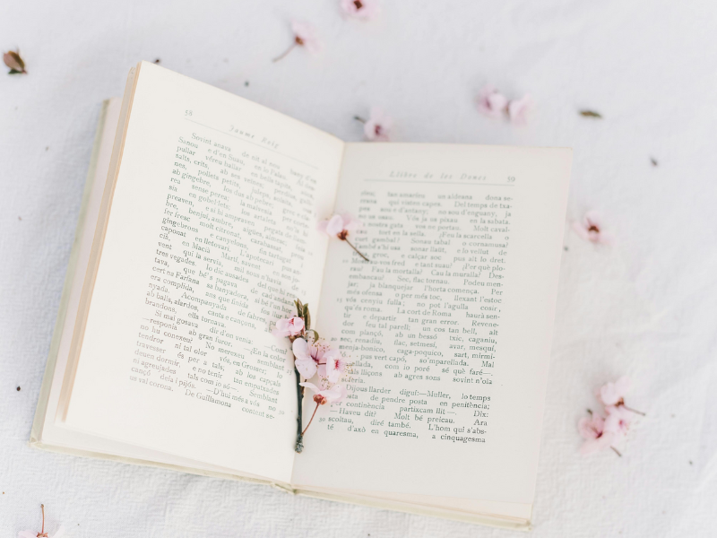 opened book with flowers sprinkinged on it