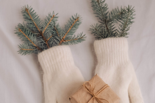 Mittens with Christmas tree branches coming out of the top of them